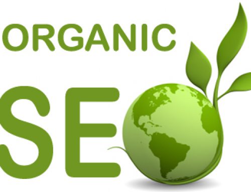 Organic SEO